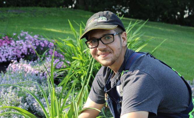 Innisfail gardener