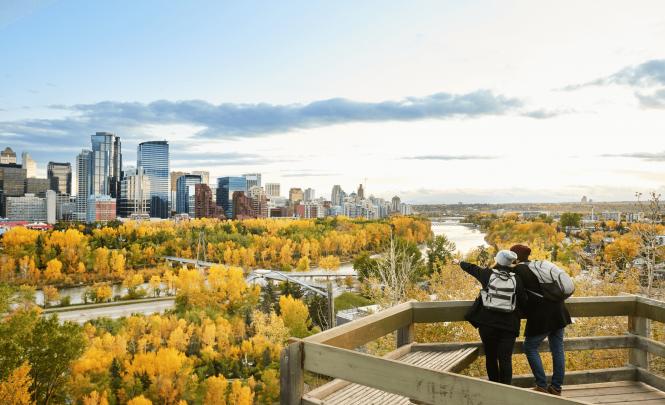 Calgary pointing