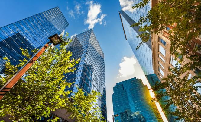 Edmonton office towers