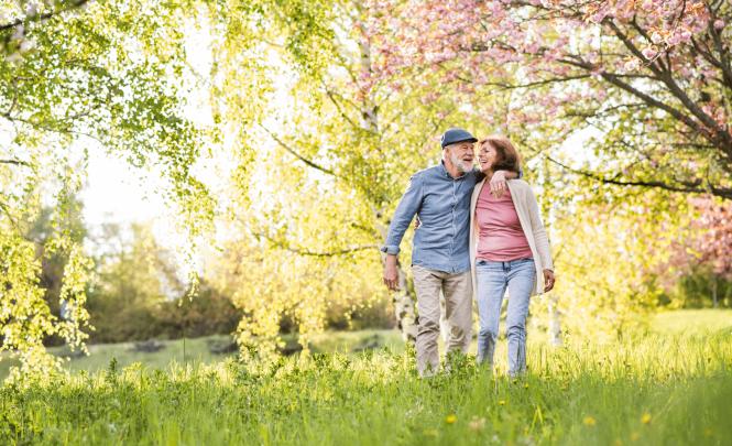 Retired couple cherry tree