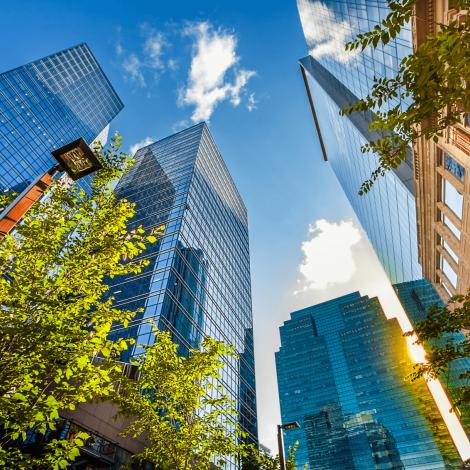 Edmonton office towers